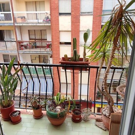 Dormitorios Piso Гандия Экстерьер фото
