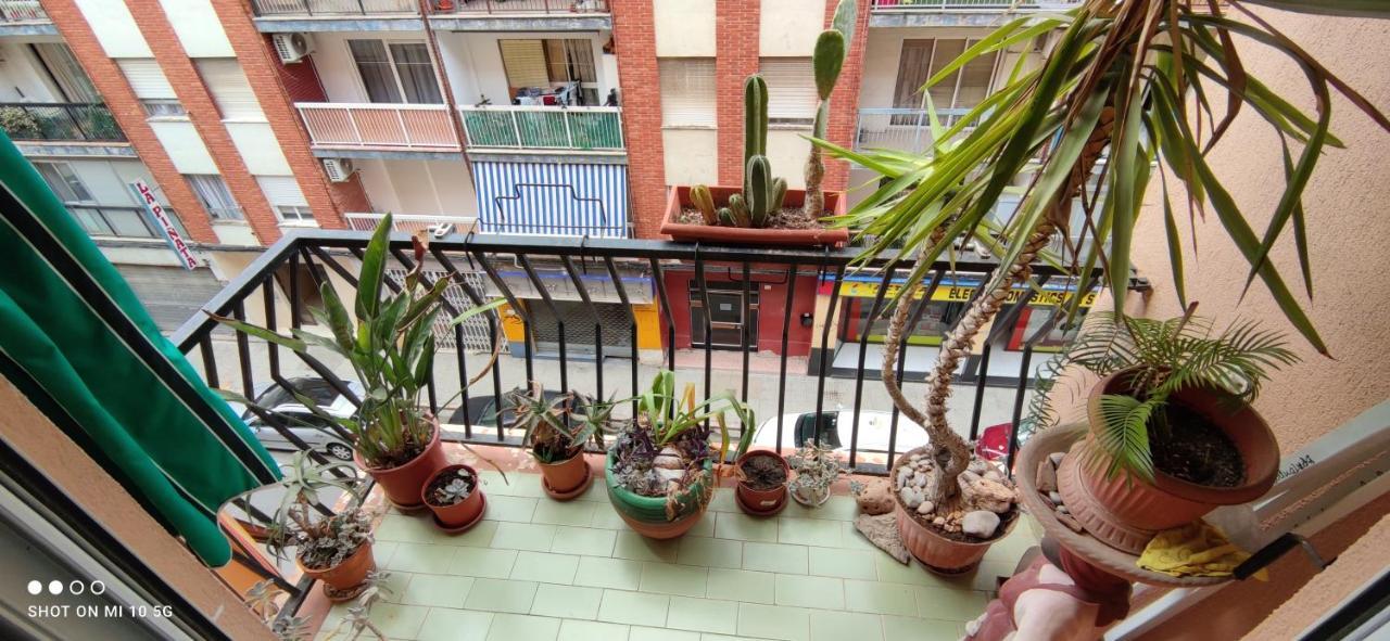 Dormitorios Piso Гандия Экстерьер фото